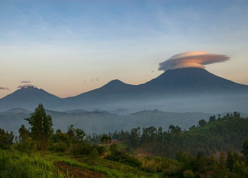 4 Days Volcanoes National Park Gorilla Trek