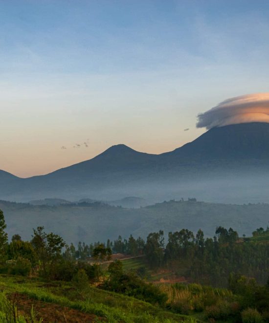 4 Days Volcanoes National Park Gorilla Trek